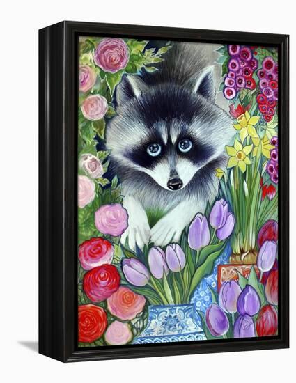 Raccoon-Oxana Zaika-Framed Premier Image Canvas