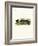 Raccoon-null-Framed Giclee Print