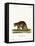 Raccoon-null-Framed Premier Image Canvas