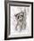 Raccoon-MAKIKO-Framed Giclee Print