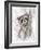 Raccoon-MAKIKO-Framed Giclee Print