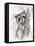 Raccoon-MAKIKO-Framed Premier Image Canvas