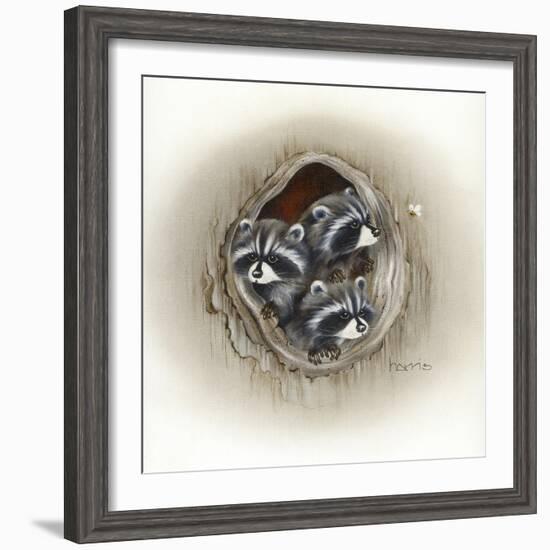 Raccoons in Hole-Peggy Harris-Framed Giclee Print