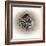 Raccoons in Hole-Peggy Harris-Framed Giclee Print