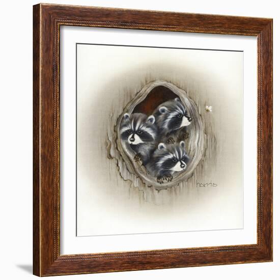 Raccoons in Hole-Peggy Harris-Framed Giclee Print