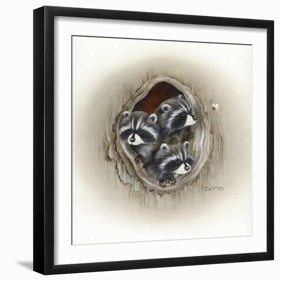 Raccoons in Hole-Peggy Harris-Framed Giclee Print