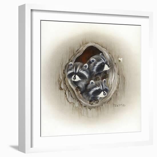 Raccoons in Hole-Peggy Harris-Framed Giclee Print