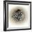 Raccoons in Hole-Peggy Harris-Framed Giclee Print