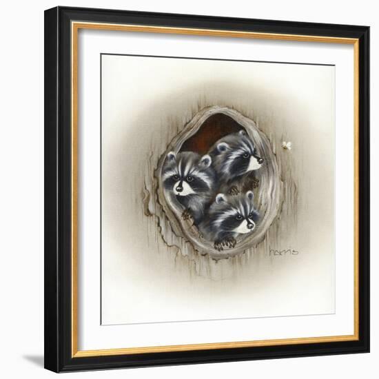 Raccoons in Hole-Peggy Harris-Framed Giclee Print