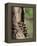 Raccoons (Racoons) (Procyon Lotor), 41 Day Old Young in Captivity, Sandstone, Minnesota, USA-James Hager-Framed Premier Image Canvas