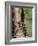 Raccoons (Racoons) (Procyon Lotor), 41 Day Old Young in Captivity, Sandstone, Minnesota, USA-James Hager-Framed Photographic Print