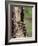 Raccoons (Racoons) (Procyon Lotor), 41 Day Old Young in Captivity, Sandstone, Minnesota, USA-James Hager-Framed Photographic Print