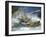 Race at Life Savers Beach Carnival-John Dominis-Framed Photographic Print