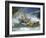 Race at Life Savers Beach Carnival-John Dominis-Framed Photographic Print