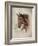 Race Horse I-Ruane Manning-Framed Art Print