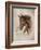 Race Horse I-Ruane Manning-Framed Art Print