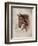 Race Horse I-Ruane Manning-Framed Art Print