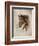 Race Horse I-Ruane Manning-Framed Art Print