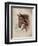 Race Horse I-Ruane Manning-Framed Art Print