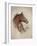 Race Horse II-Ruane Manning-Framed Art Print