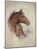 Race Horse II-Ruane Manning-Mounted Art Print