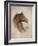 Race Horse II-Ruane Manning-Framed Art Print