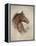 Race Horse II-Ruane Manning-Framed Stretched Canvas