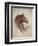 Race Horse II-Ruane Manning-Framed Premium Giclee Print