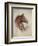 Race Horse II-Ruane Manning-Framed Premium Giclee Print