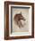 Race Horse II-Ruane Manning-Framed Art Print