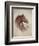 Race Horse II-Ruane Manning-Framed Art Print