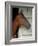 Race Horse in Barn, Saratoga Springs, New York, USA-Lisa S. Engelbrecht-Framed Photographic Print