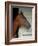 Race Horse in Barn, Saratoga Springs, New York, USA-Lisa S. Engelbrecht-Framed Photographic Print