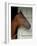 Race Horse in Barn, Saratoga Springs, New York, USA-Lisa S. Engelbrecht-Framed Photographic Print