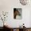 Race Horse in Barn, Saratoga Springs, New York, USA-Lisa S. Engelbrecht-Photographic Print displayed on a wall