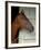 Race Horse in Barn, Saratoga Springs, New York, USA-Lisa S. Engelbrecht-Framed Photographic Print