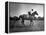 Race Horse Man O' War-null-Framed Premier Image Canvas