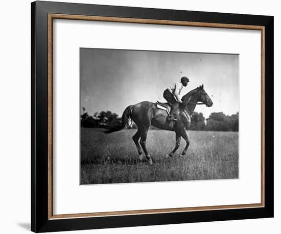 Race Horse Man O' War-null-Framed Premium Photographic Print