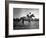 Race Horse Man O' War-null-Framed Premium Photographic Print