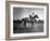 Race Horse Man O' War-null-Framed Photographic Print