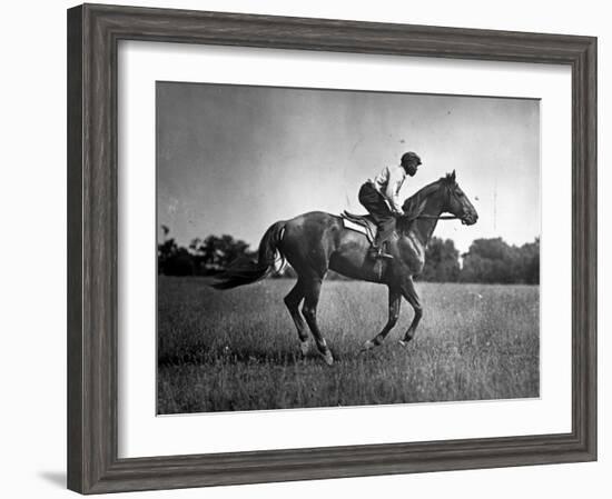 Race Horse Man O' War-null-Framed Photographic Print