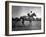 Race Horse Man O' War-null-Framed Photographic Print