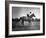 Race Horse Man O' War-null-Framed Photographic Print