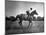 Race Horse Man O' War-null-Mounted Photographic Print