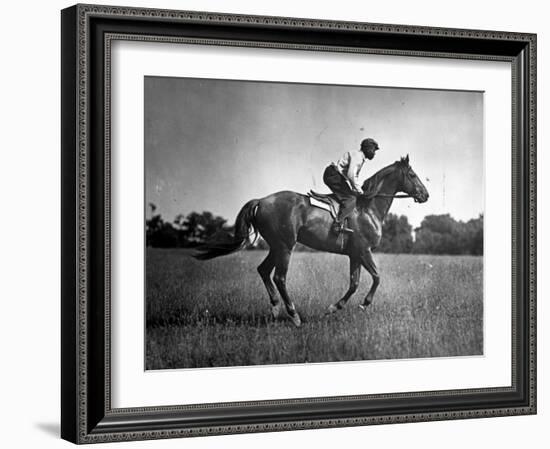Race Horse Man O' War--Framed Photographic Print