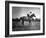 Race Horse Man O' War-null-Framed Photographic Print