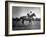 Race Horse Man O' War-null-Framed Photographic Print