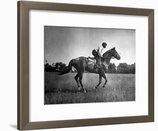 Race Horse Man O' War-null-Framed Photographic Print