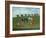 Race Horses Exercising in a Landscape-SEYMOUR-Framed Giclee Print