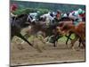 Race Horses in Action, Saratoga Springs, New York, USA-Lisa S^ Engelbrecht-Mounted Photographic Print
